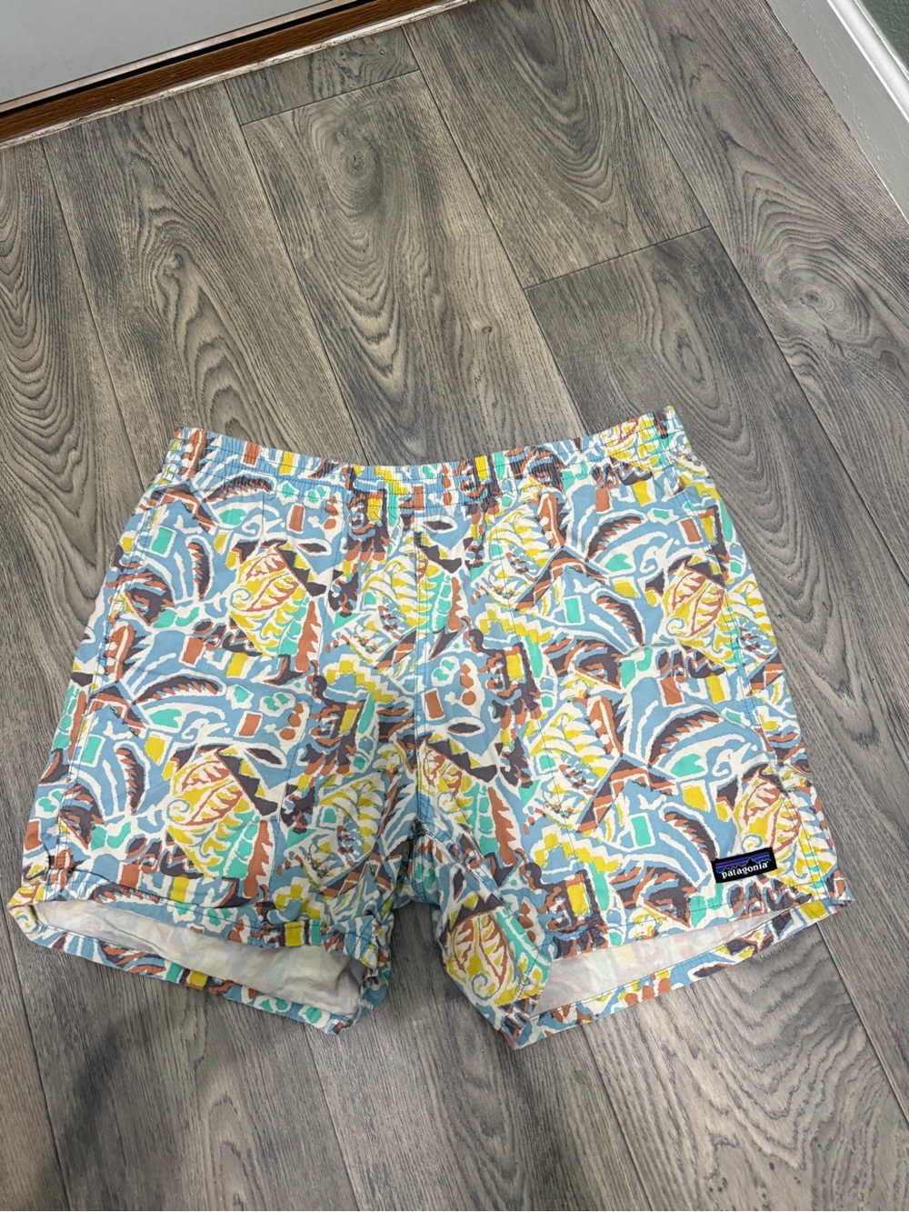 Patagonia shorts